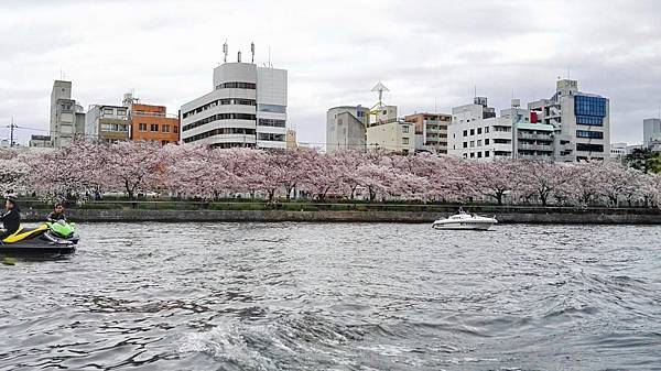 1459681067588.JPG 1459681067588.JPG