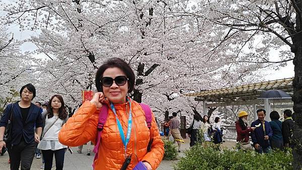 1459681134368.JPG 1459681134368.JPG