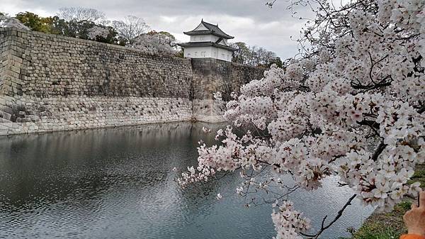 1459681659890.JPG 1459681659890.JPG