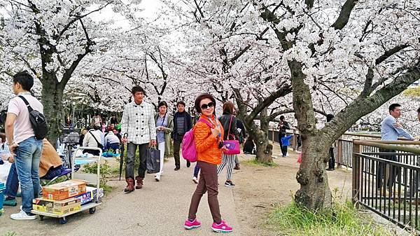 1459681664321.JPG 1459681664321.JPG