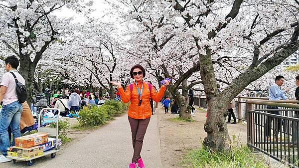 1459681670361.JPG 1459681670361.JPG