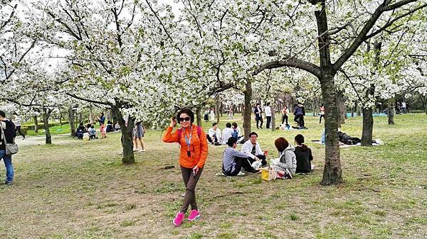 1459681777715.JPG 1459681777715.JPG