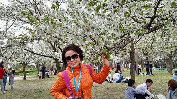 1459681782145.JPG 1459681782145.JPG