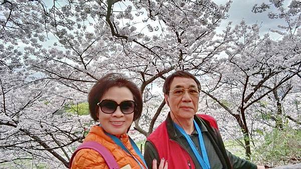 1459681779915.JPG 1459681779915.JPG