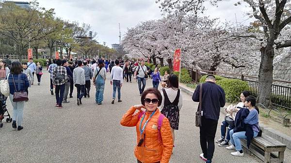 1459681832024.JPG 1459681832024.JPG