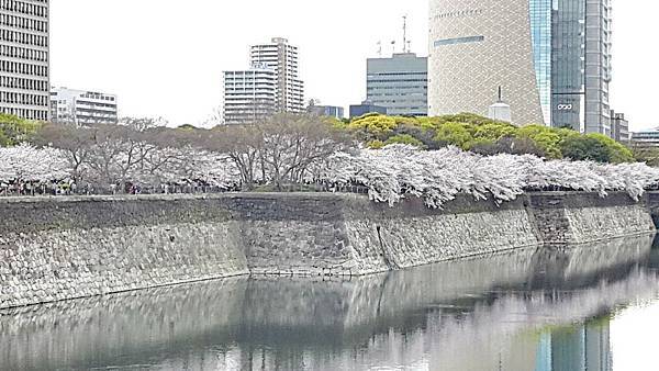 20160403_142313(0).jpg 20160403_142313(0).jpg