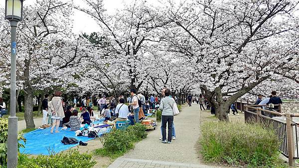 20160403_142422.jpg 20160403_142422.jpg