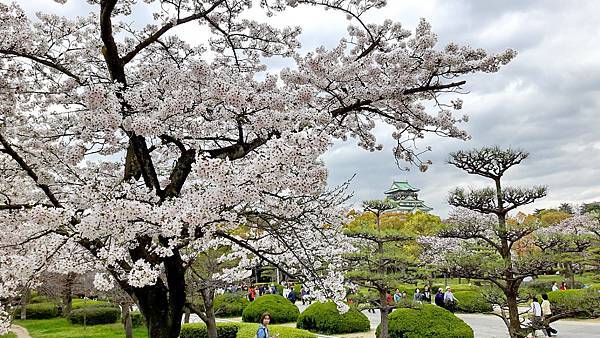 20160403_144413.jpg 20160403_144413.jpg