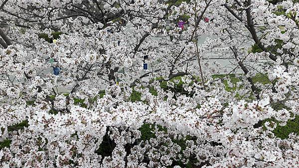 20160403_160235.jpg 20160403_160235.jpg