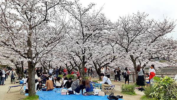 20160403_161104.jpg 20160403_161104.jpg