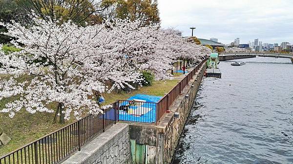 1459680969990.jpg 1459680969990.jpg