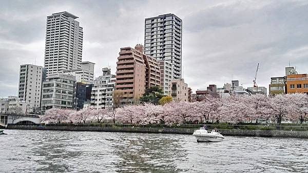 1459681060657.jpg 1459681060657.jpg