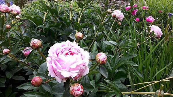 20160523_123220.JPG 20160523_123220.JPG