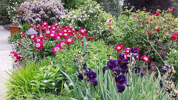 20160523_123547.JPG 20160523_123547.JPG