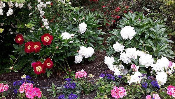 20160523_124821.JPG 20160523_124821.JPG