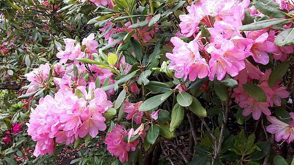 20160523_131336.JPG 20160523_131336.JPG