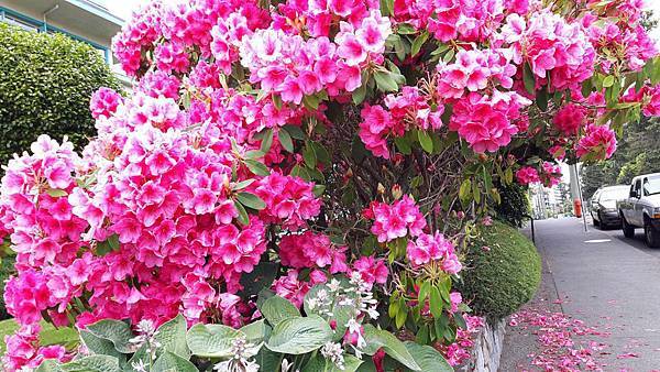 20160523_153837.JPG 20160523_153837.JPG