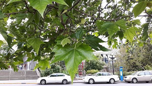 20160523_182913.JPG 20160523_182913.JPG