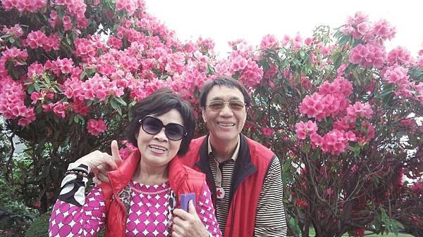 1464061582351.JPG 1464061582351.JPG