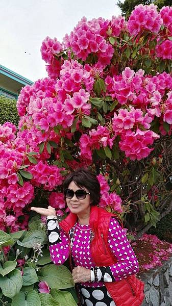 1464061567908.JPG 1464061567908.JPG