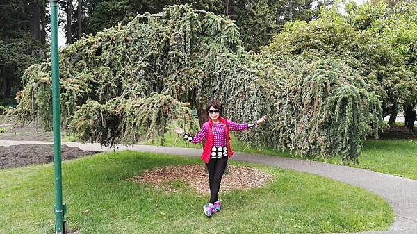 1464061597598.JPG 1464061597598.JPG