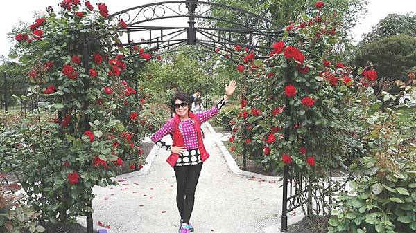 1464061712291.JPG 1464061712291.JPG