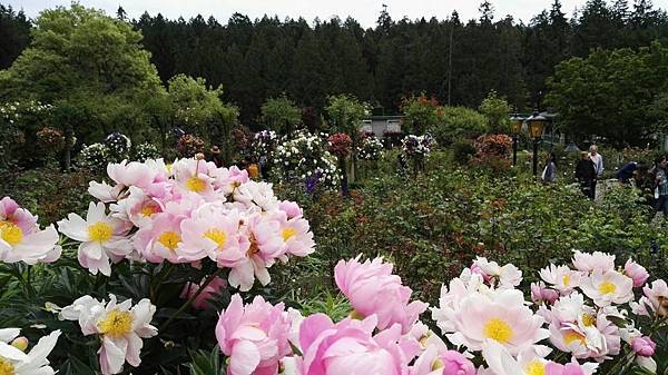 1464061876039.JPG 1464061876039.JPG