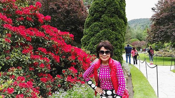 1464062207273.JPG 1464062207273.JPG