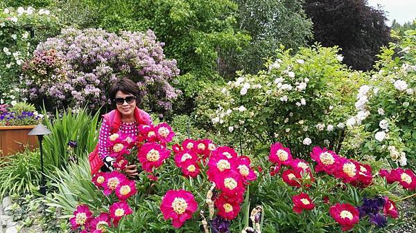 1464062516916.JPG 1464062516916.JPG