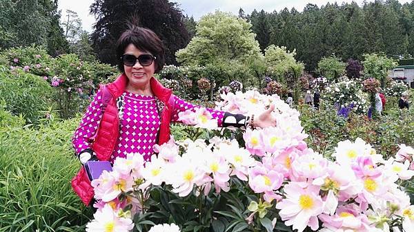 1464062592363.JPG 1464062592363.JPG