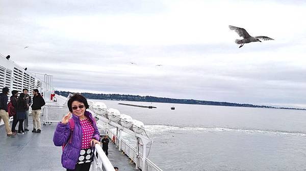 IMG_20160523_090826.JPG IMG_20160523_090826.JPG