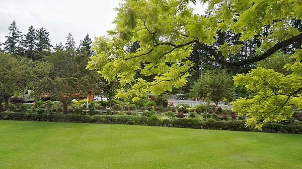 IMG_20160523_105608.JPG IMG_20160523_105608.JPG