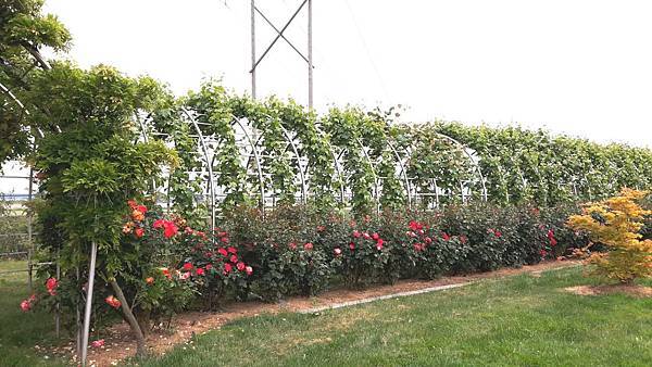 20160524_150733.JPG 20160524_150733.JPG