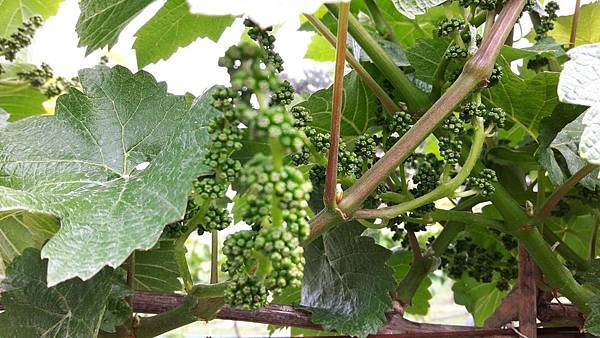 20160524_153842.JPG 20160524_153842.JPG