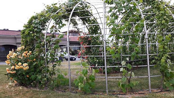 20160524_154712.JPG 20160524_154712.JPG