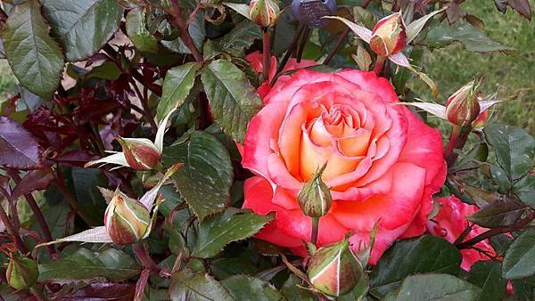 20160524_160028.JPG 20160524_160028.JPG