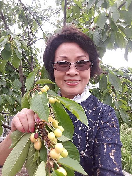 20160524_160912.JPG 20160524_160912.JPG