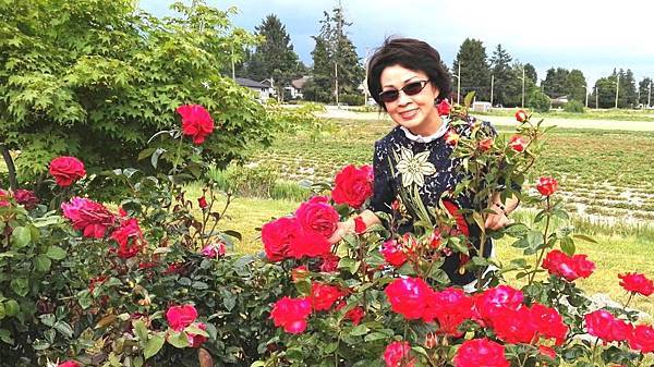 1464155686370.JPG 1464155686370.JPG