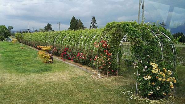 1464155333150.JPG 1464155333150.JPG