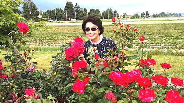 1464155670535.JPG 1464155670535.JPG