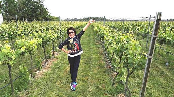 1464155739188.JPG 1464155739188.JPG