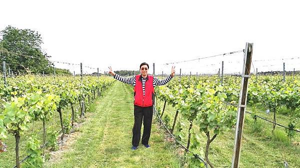 1464155712393.JPG 1464155712393.JPG