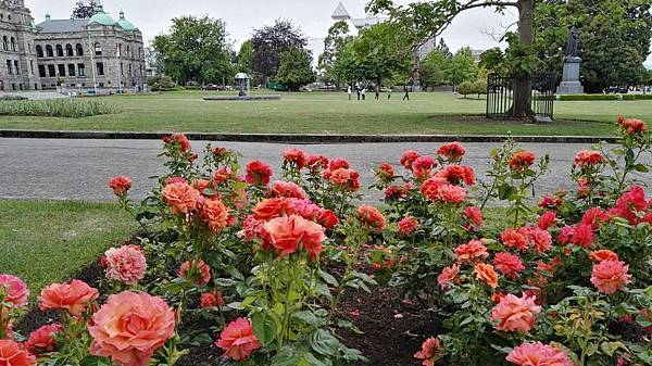 1464155790717.JPG 1464155790717.JPG