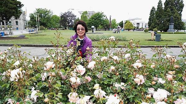 1464155805535.JPG 1464155805535.JPG