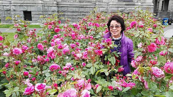 1464155856551.JPG 1464155856551.JPG