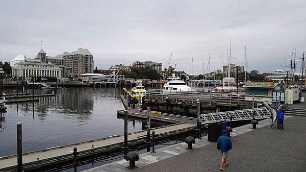 1464156194167.JPG 1464156194167.JPG