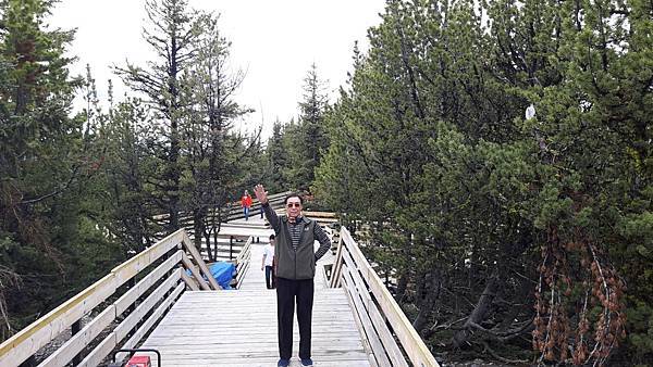 20160526_135231.JPG 20160526_135231.JPG