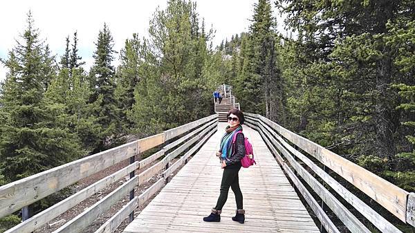 IMG_20160526_135405.JPG IMG_20160526_135405.JPG