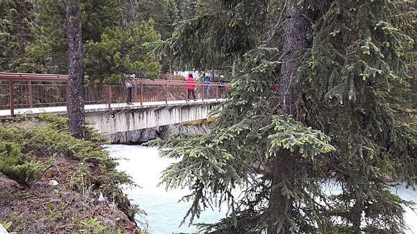 20160526_091021.JPG 20160526_091021.JPG