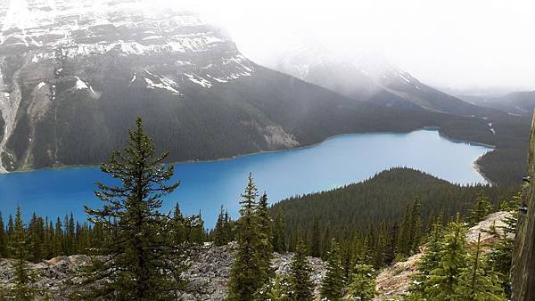 20160527_145940.JPG 20160527_145940.JPG